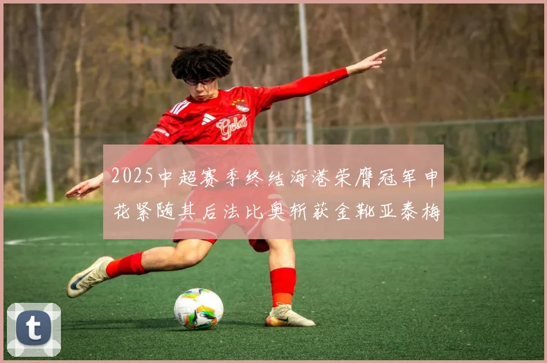 2025中超赛季终结海港荣膺冠军申花紧随其后法比奥斩获金靴亚泰梅州遗憾降级